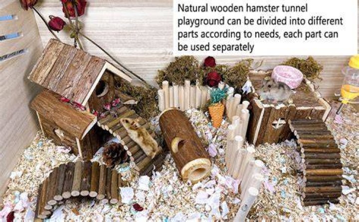 Are tunnels safe for hamsters?