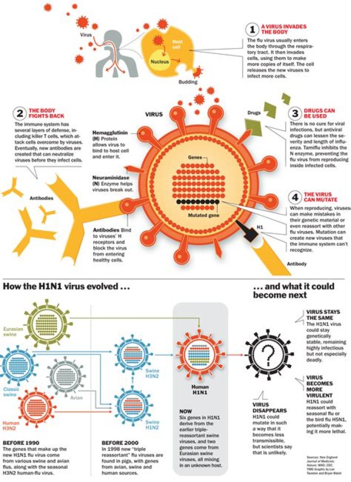 Can you be immune to h1n1?