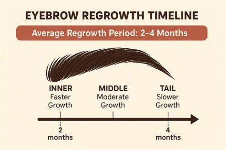 Do eyebrows grow back to original shape?