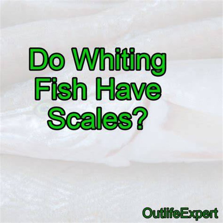 Do you have to scale Whiting?