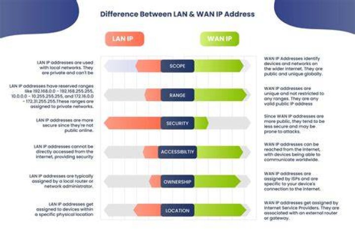 How do I find my WAN IP address?