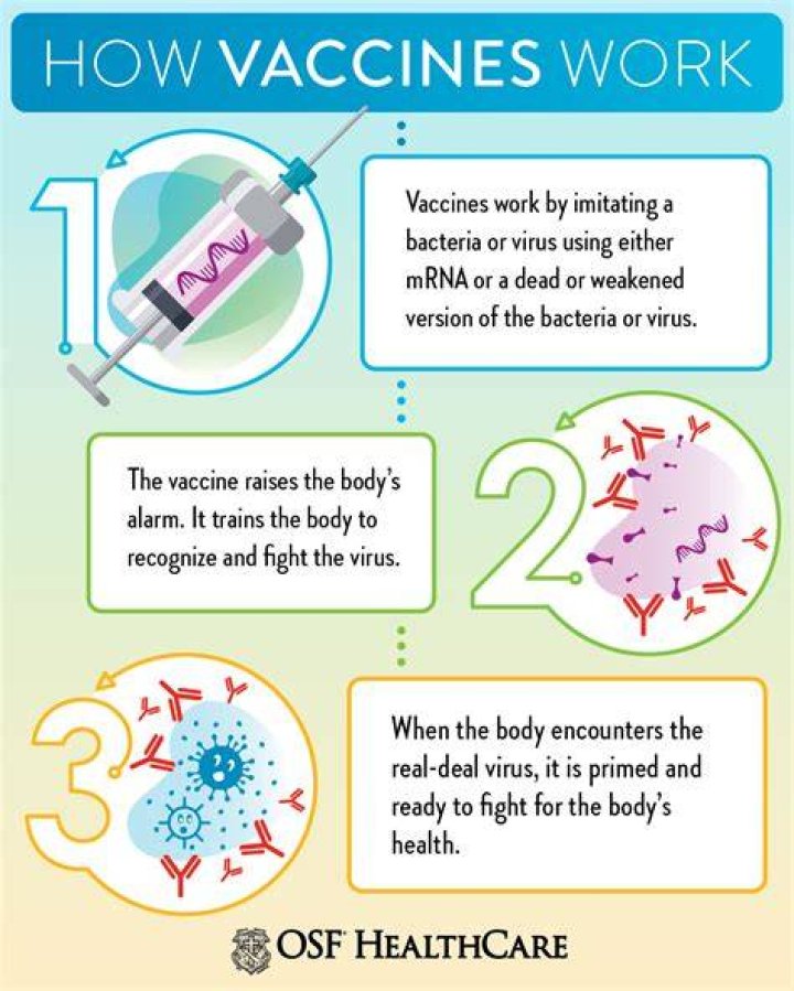 How do vaccines give immunity to infectious diseases?