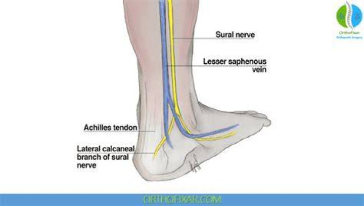 How do you test for sural nerves?