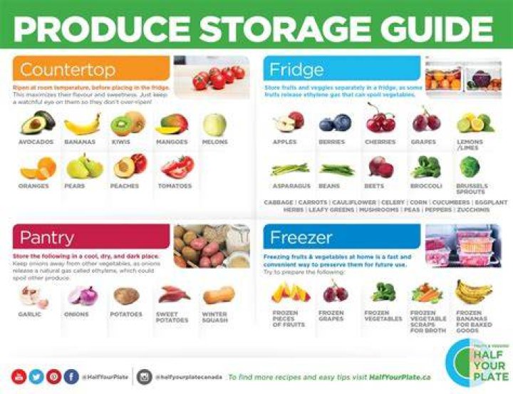 How fresh vegetables should be stored?