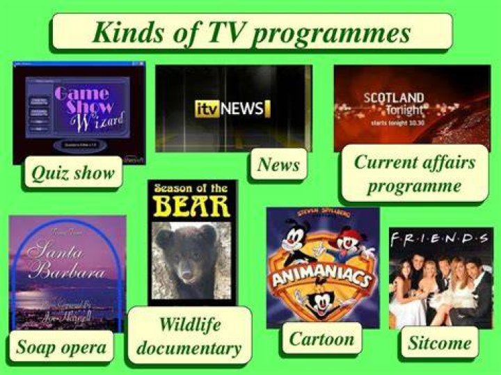 How many types of TV shows are there?