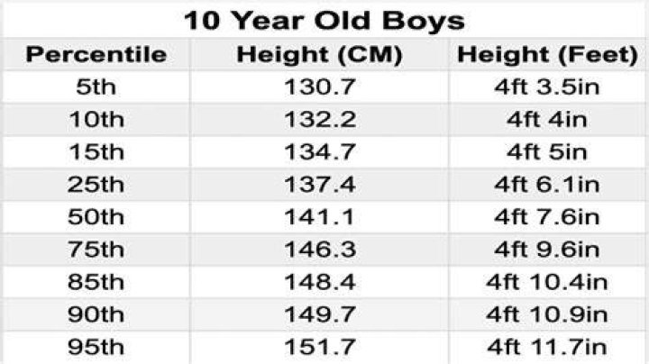 How tall is an average 10 year old boy?