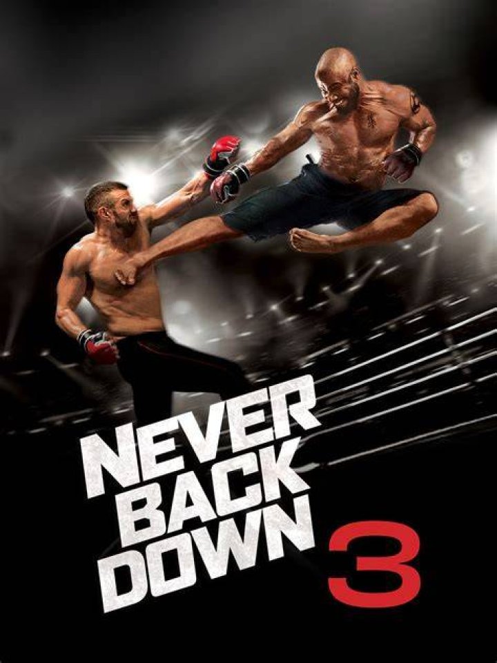 Is there a never back down 3?