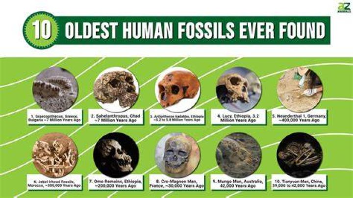 What's the oldest human remains found?