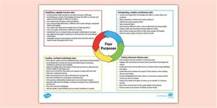 What are the four 4 purposes of meaningful use?