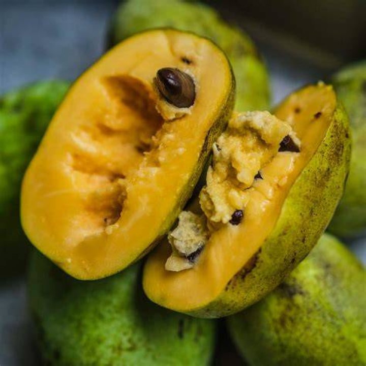 What do Pawpaws taste like?
