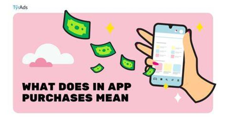 What does offers in app purchases mean?