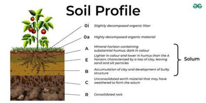 What does soil profile mean?