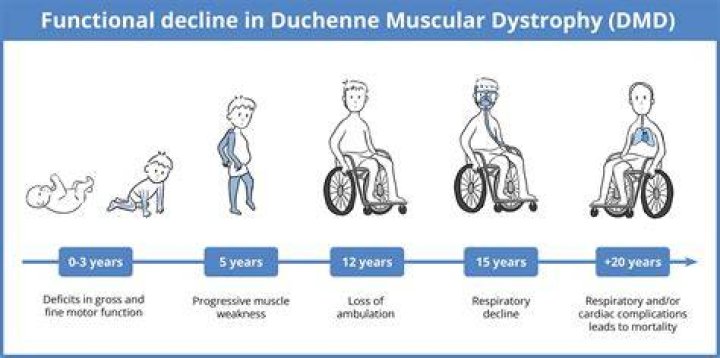What happens to the body when you have Duchenne muscular dystrophy?