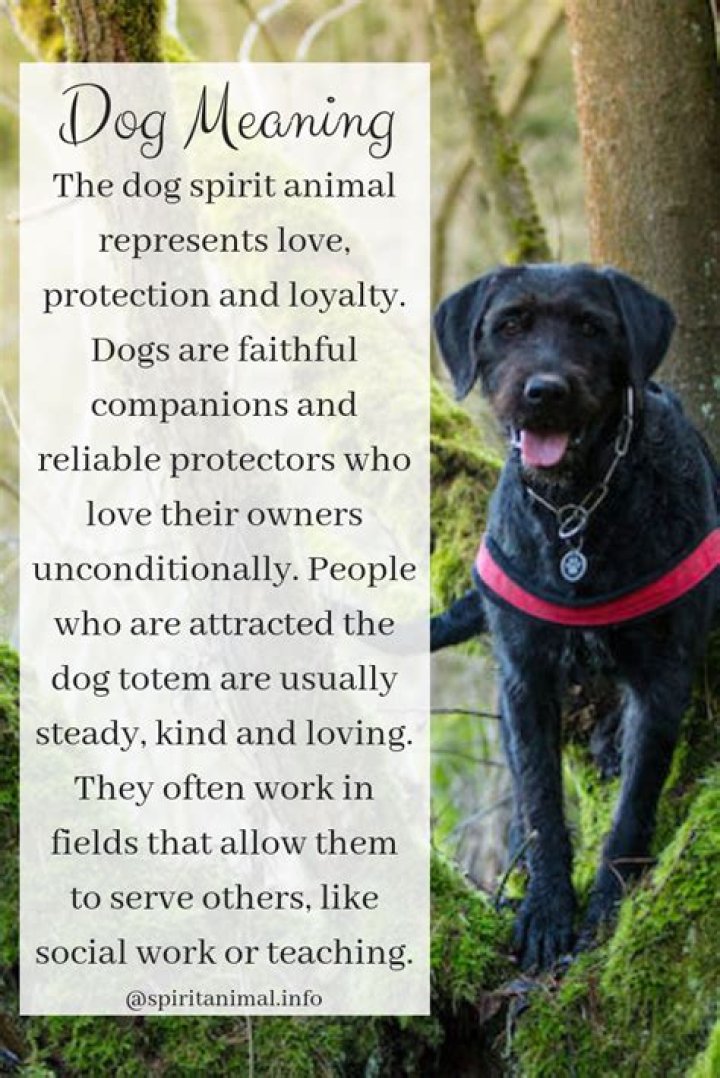 What is a dog spiritual meaning?