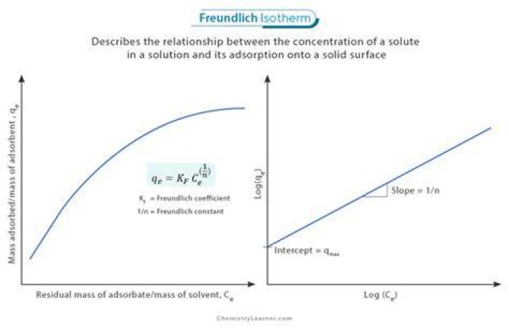 What is the value of 1 n in Freundlich adsorption isotherm?